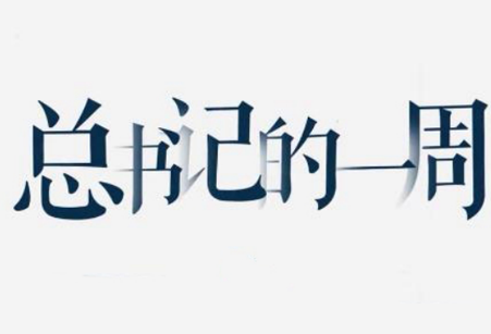 学习进行时 · 总书记的一周（11月8日—11月14日）