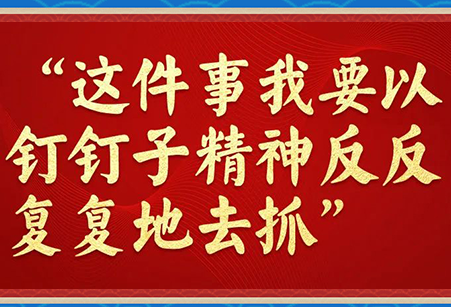 学习进行时｜“这件事我要以钉钉子精神反反复复地去抓”