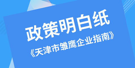 天津市雏鹰企业评价明白纸（2024版）