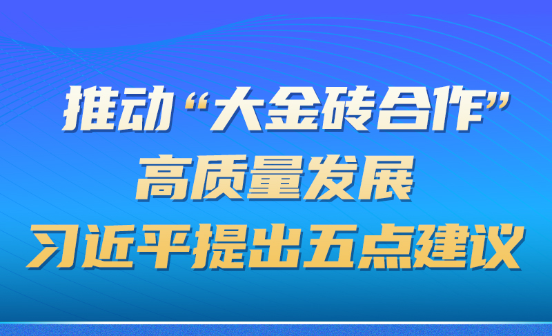 党建引领丨推动“大金砖合作”高质量发展，习近平提出五点建议