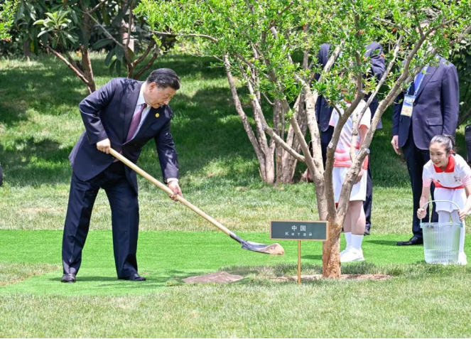 学习进行时｜这些年，习近平主席种下这些友谊之树